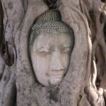 Bangkok: Private Ayutthaya UNESCO Heritage Tour - Final Thoughts