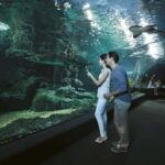 Bangkok: SEA LIFE Bangkok & Madame Tussauds Entry Ticket - A Closer Look at the Experience