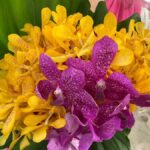 Bangkok: Thonburi Canals Boat Tour with 3 Stops - What to Expect: Practical Insights