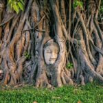 Bangkok to Ayutthaya: Temples & Local Candy One Day Tour - A Deep Dive into the Tour Experience