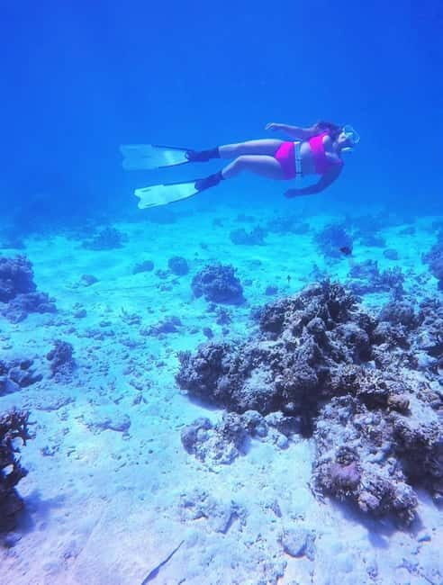 Bantayan Island: Fundive Freediving Excursion - The Real Value of the Experience