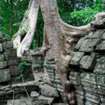 Banteay Chhmar: Journey to Khmer Fortress in the Jungle - Practical Details and Tips