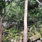 Banteay Srey, Beng Mealea, Kompong Phluk with Spanish Guide - Practical Tips and Considerations