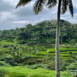 Banyumala Waterfall, Jatiluwih, Ulun Danu and Tanah Lot tours - Who Should Consider This Tour?