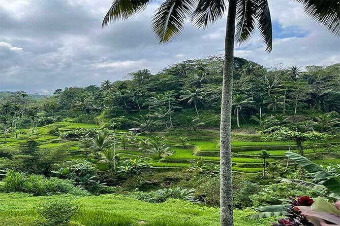 Banyumala Waterfall, Jatiluwih, Ulun Danu and Tanah Lot tours - Who Should Consider This Tour?
