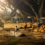 Banyuwangi: De Djawatan, Green, and Red Island Day Trip - The Serenity of Green Island: A Truly Hidden Gem