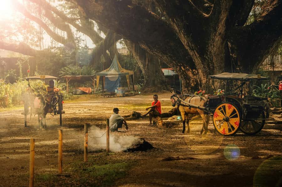 Banyuwangi: De Djawatan, Green, and Red Island Day Trip - The Serenity of Green Island: A Truly Hidden Gem
