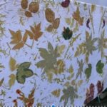 Banyuwangi: Family Eco Print Workshop with Local Artisan - What to Expect at the Eco Print Workshop