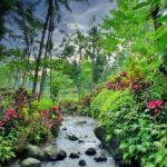 Banyuwangi: Kalibaru Train Adventure & Cultural Tour - The Practicalities: What to Expect and Tips