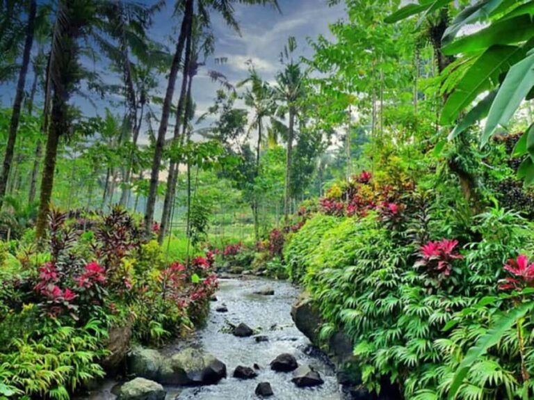 Banyuwangi: Kalibaru Train Adventure & Cultural Tour - The Practicalities: What to Expect and Tips