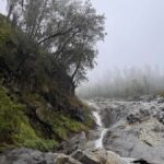 Banyuwangi: Kawah Ijen Blue Fire & Kalipait Waterfall Tour - What to Expect From the Tour