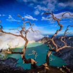Banyuwangi : Mt Ijen, Blue Fire & Panoramic with local guide - Why This Tour Offers Great Value