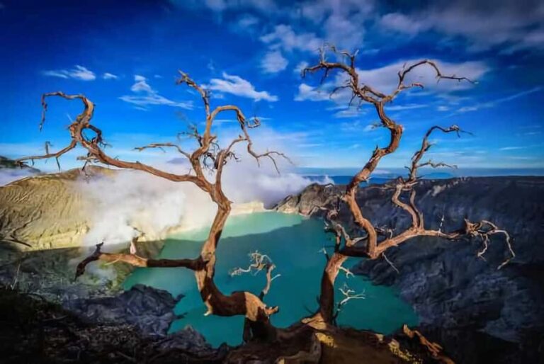 Banyuwangi : Mt Ijen, Blue Fire & Panoramic with local guide - Why This Tour Offers Great Value  