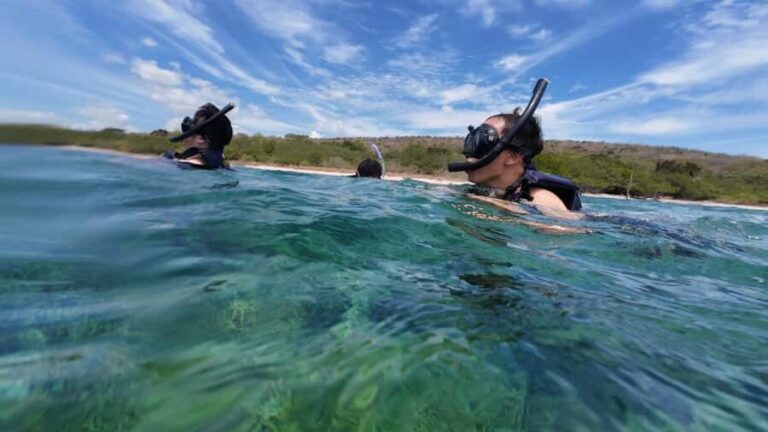 Banyuwangi: Tabuhan & Menjangan Island Snorkeling Tour - Practical Details and Tips