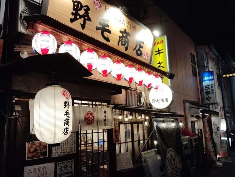 Bar Hopping in Noge: Yokohamas Historic Drinking District - Why This Tour is Worth Considering