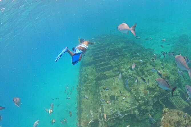 Barbados Glass Bottom Boat Cruise and Snorkeling - The Sum Up