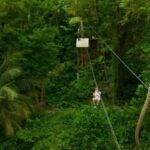 Barbados: Monkey Zip & Gully Challenge Adventure - Practical Details and Logistics