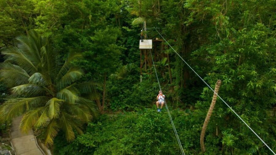 Barbados: Monkey Zip & Gully Challenge Adventure - Practical Details and Logistics