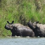 Bardia National Park: 3-Night Nepal's Tiger Tour - The 3-Day Itinerary: What to Expect