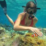 Basic Snorkeling Menjangan Island - Who Will Love This Tour?