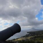 Basseterre: St. Kitts Highlights Driving Tour - Who Is This Tour Best Suited For?