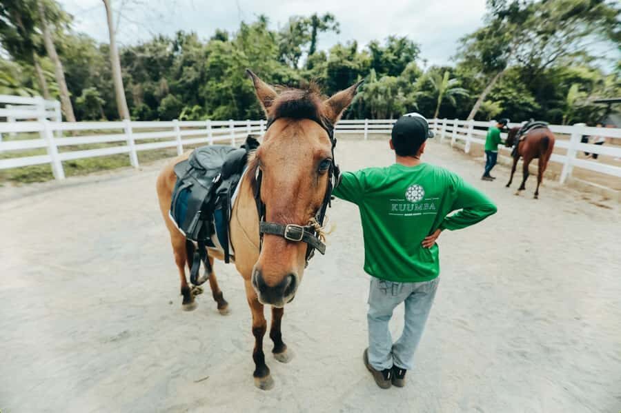 Batangas: Countryside Private Horseback Ride with Cafe Stop - The Itinerary: A Simple, Well-Curated Experience