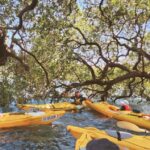 Batemans Bay: Oyster Tasting Kayak Tour - Meeting Point and Practical Details