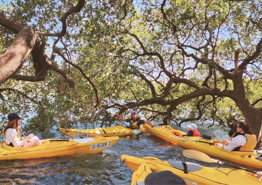 Batemans Bay: Oyster Tasting Kayak Tour - Meeting Point and Practical Details