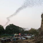 Battambang Private Full-Day Tour Pick up from Siem Reap - The Sum Up