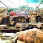 Batu Caves And Genting Highland Tour Include 2-way Cable Car Tickets & Lunch - The Bonus Stop: Geneva Timepiece Sdn Bhd