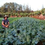 Bauntis Farm and Industry Tour in Norfolk Island - What Travelers Can Expect