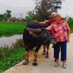 Bay Mau Coconut Jungle to Basket Boat &Countryside Village Hoi An - Who Will Love This Experience?