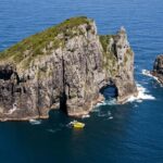 Bay of Islands: Discover the Bay Cruise with Island Lunch - Wildlife Encounters: Dolphins, Whales, and More