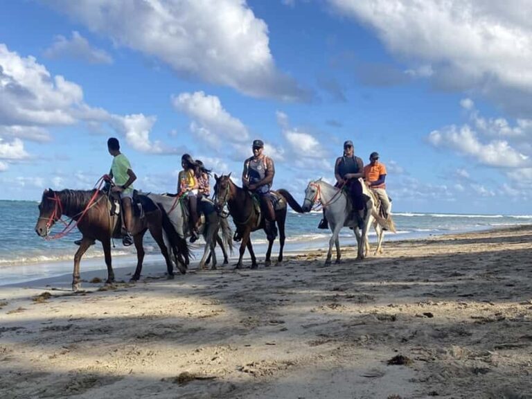 Bayahibe: Buggy and Horseback Riding Tour - The Itinerary Breakdown: What You Can Expect