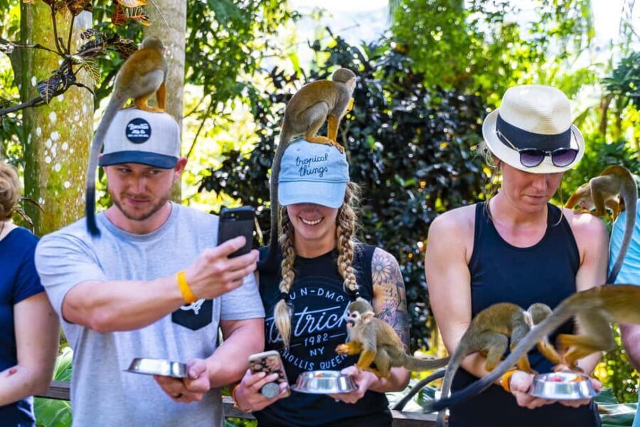 Bayahibe/La Romana: 4x4 Buggy and Monkeyland Tour - Practical Details and Travel Tips