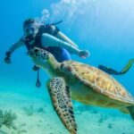 Bayhibe: Private 2 Tank Scuba Dive tour in the National Park - The Experience Overview