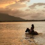 Beach Horseback Ride Tour in Puerto Plata - Scenic & Fun for All - The Itinerary and Highlights