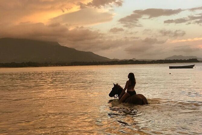 Beach Horseback Ride Tour in Puerto Plata - Scenic & Fun for All - The Itinerary and Highlights