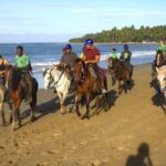 Beach Horseback Riding and Swim Horse in Puerto Plata - Authenticity and Safety