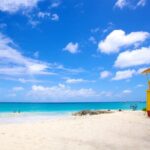 Beautiful Coastal Sightseeing Tour of Barbados - The Experience in Detail: What Youll Really Get