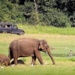 Beautiful Sri Lanka in Express: 6 Days & 5 Nights | Private Tour - The Value of the Experience