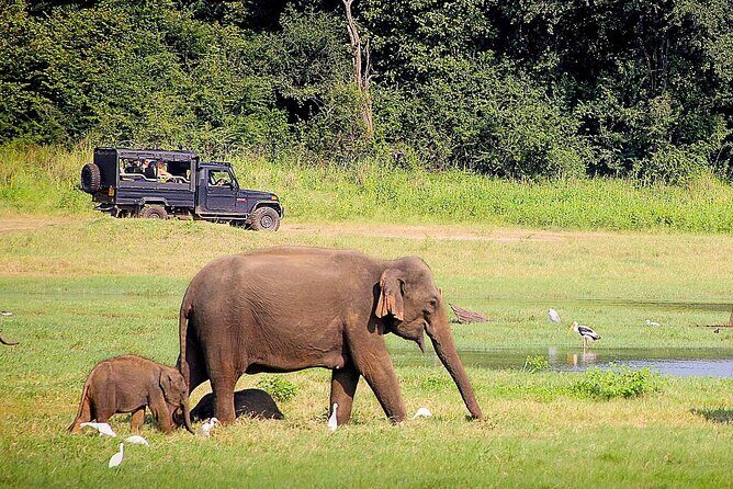 Beautiful Sri Lanka in Express: 6 Days & 5 Nights | Private Tour - The Value of the Experience