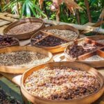 Beauty of Ubud, Rice Terrace, Temple, Monkey Forest, Waterfall - Exploring Ubud’s Natural and Cultural Gems