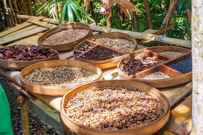 Beauty of Ubud, Rice Terrace, Temple, Monkey Forest, Waterfall - Exploring Ubud’s Natural and Cultural Gems