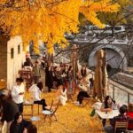 Beijing 3 Day Private Tour All Inclusive and 1 Peking Duck Meal - Exploring Beijing in Depth: What the Tour Offers