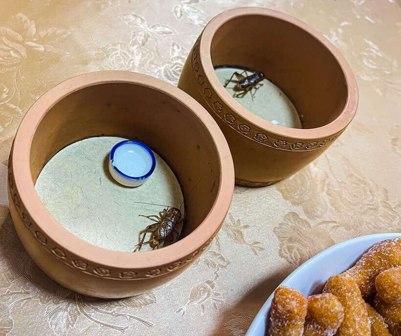 Beijing: Best Hutongs Cultural Tour for the Cricket Fights - The Drum Tower and Its Cultural Significance