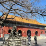 Beijing: Dim Sum Breakfast & Hutong History Tour - Who Will Love This Tour