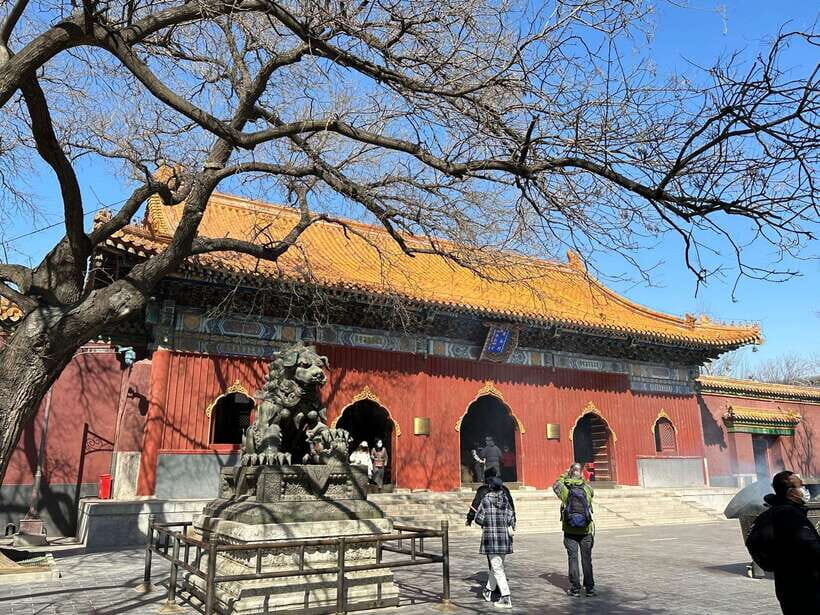 Beijing: Dim Sum Breakfast & Hutong History Tour - Who Will Love This Tour