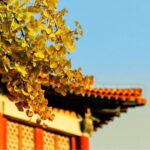 Beijing Forbidden City Slack Season and Peak Season Admission Ticket - The Sum Up