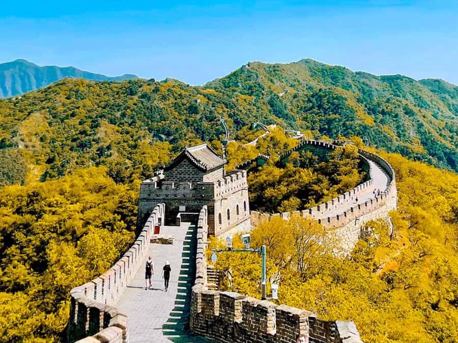 Beijing: Mutianyu Great Wall and Bird's Nest Tour - Practical Details